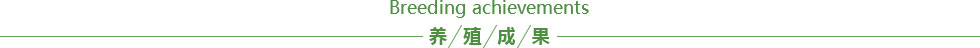im官网
